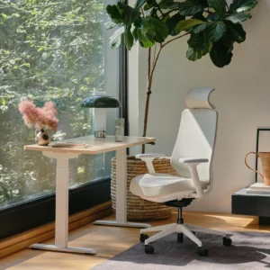 Branch Ergonomic Chair Pro best mid-range office chair 2026