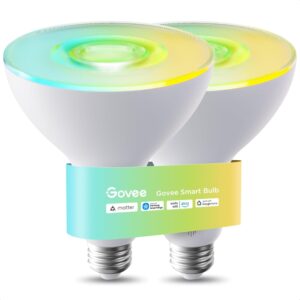 Govee Outdoor Floodlight Matter smart home 2026